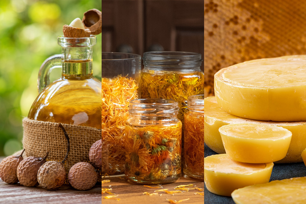 Vegetable oils, infusions, butters and waxes