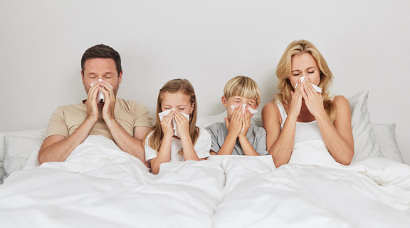 Menthe verte pour les infections respiratoires