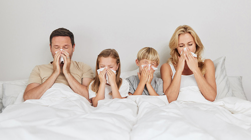 Menthe verte pour les infections respiratoires